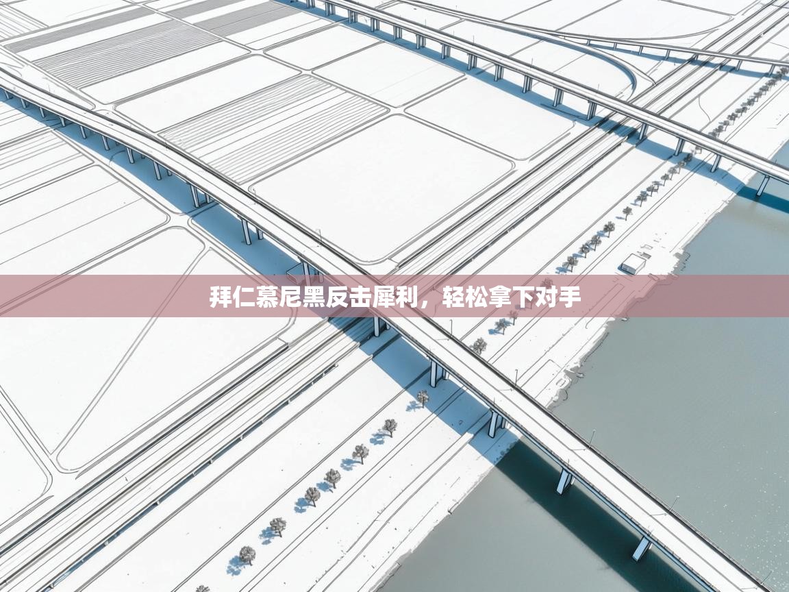 拜仁慕尼黑反击犀利，轻松拿下对手  第2张