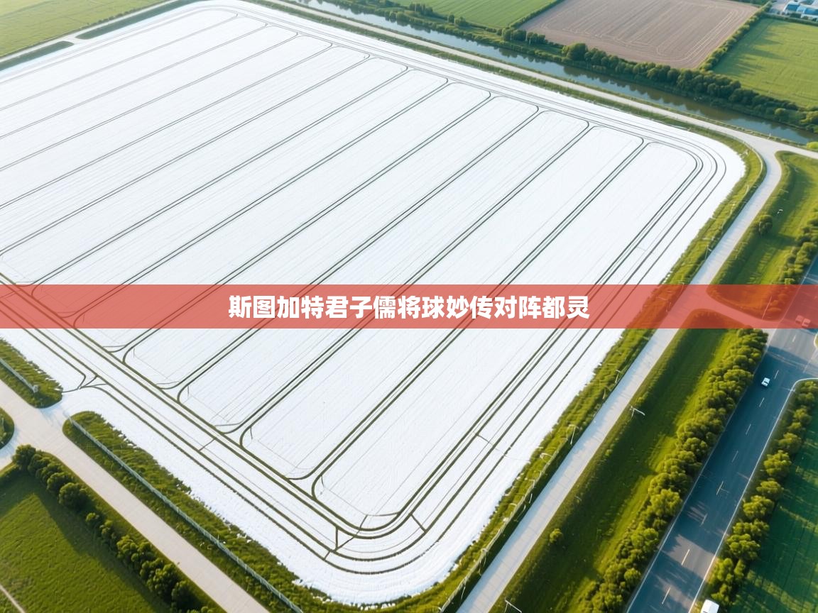 斯图加特君子儒将球妙传对阵都灵 第2张