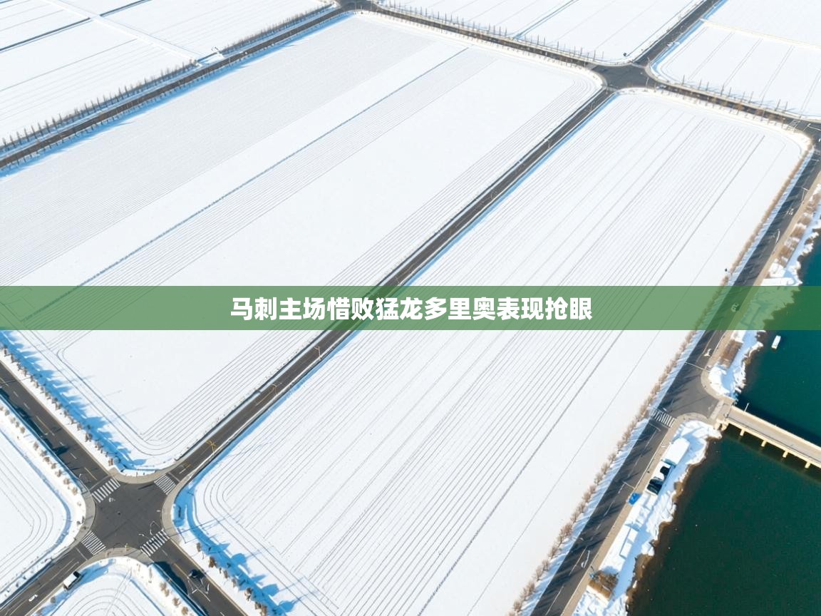 马刺主场惜败猛龙多里奥表现抢眼  第1张