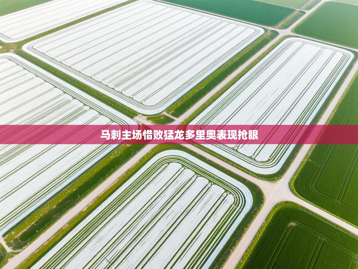 马刺主场惜败猛龙多里奥表现抢眼  第2张